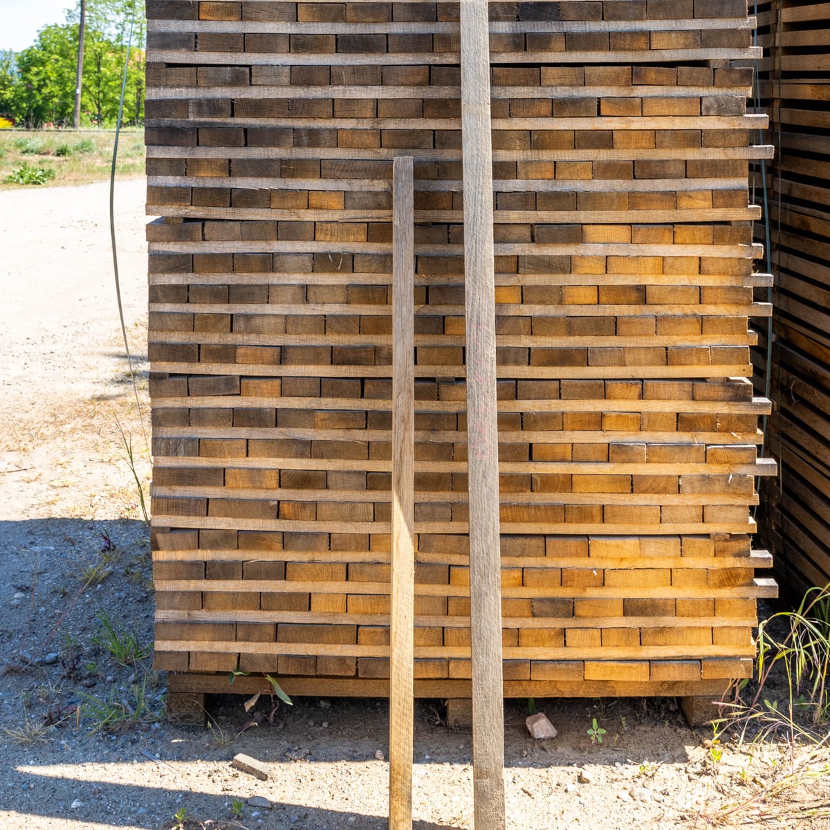 The lengthwise grain of a wine barrel stave