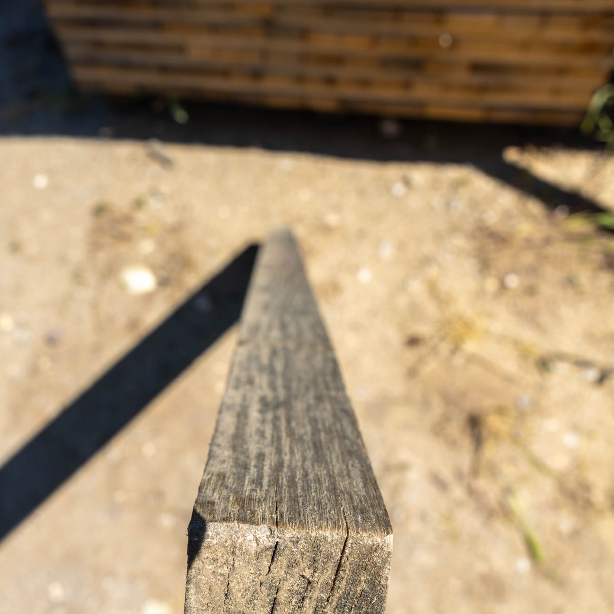 The lengthwise grain of an oak stave for wine barrels