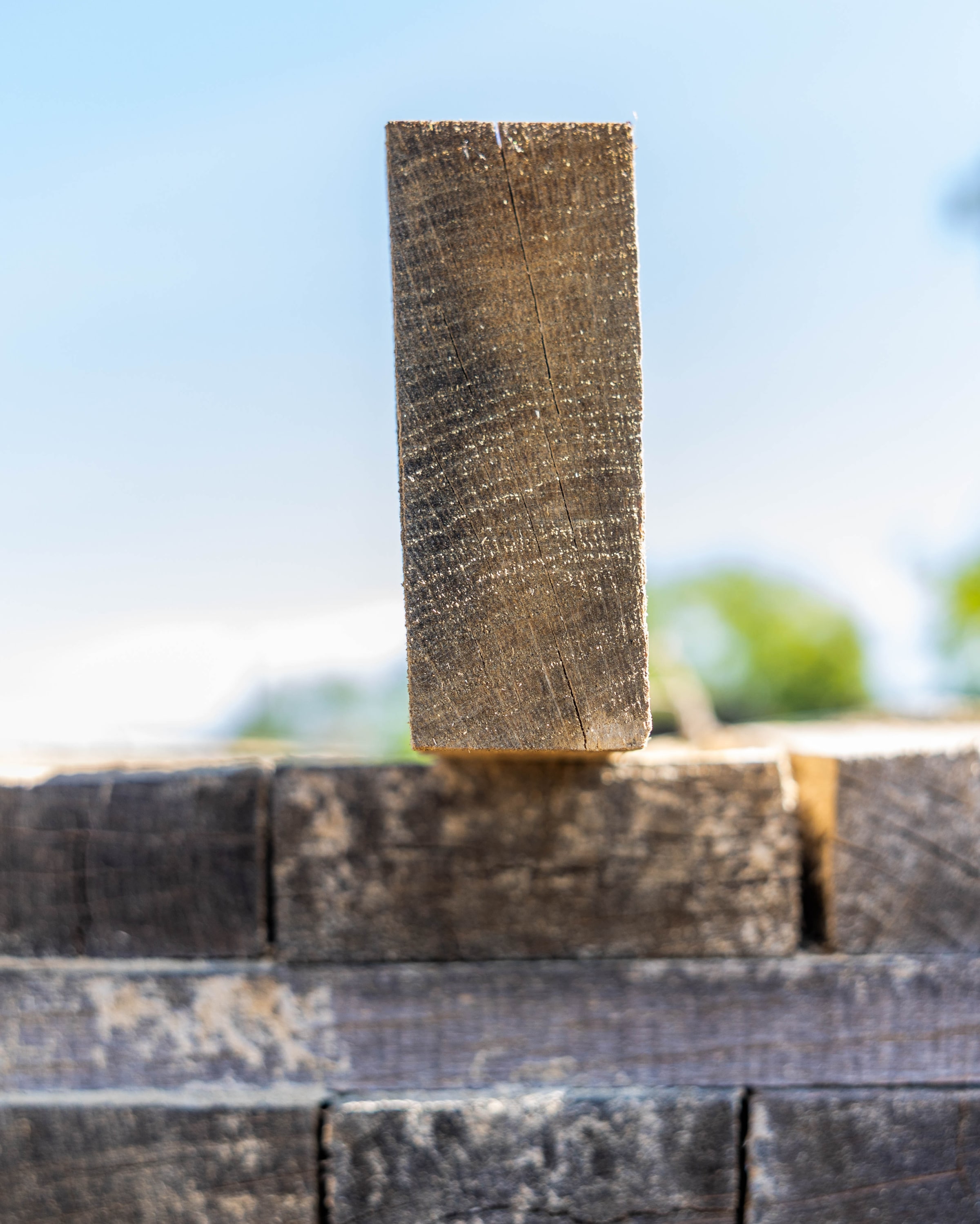 Un merrain de chêne dressé sur une pile de merrains en séchage naturel à l'air libre
